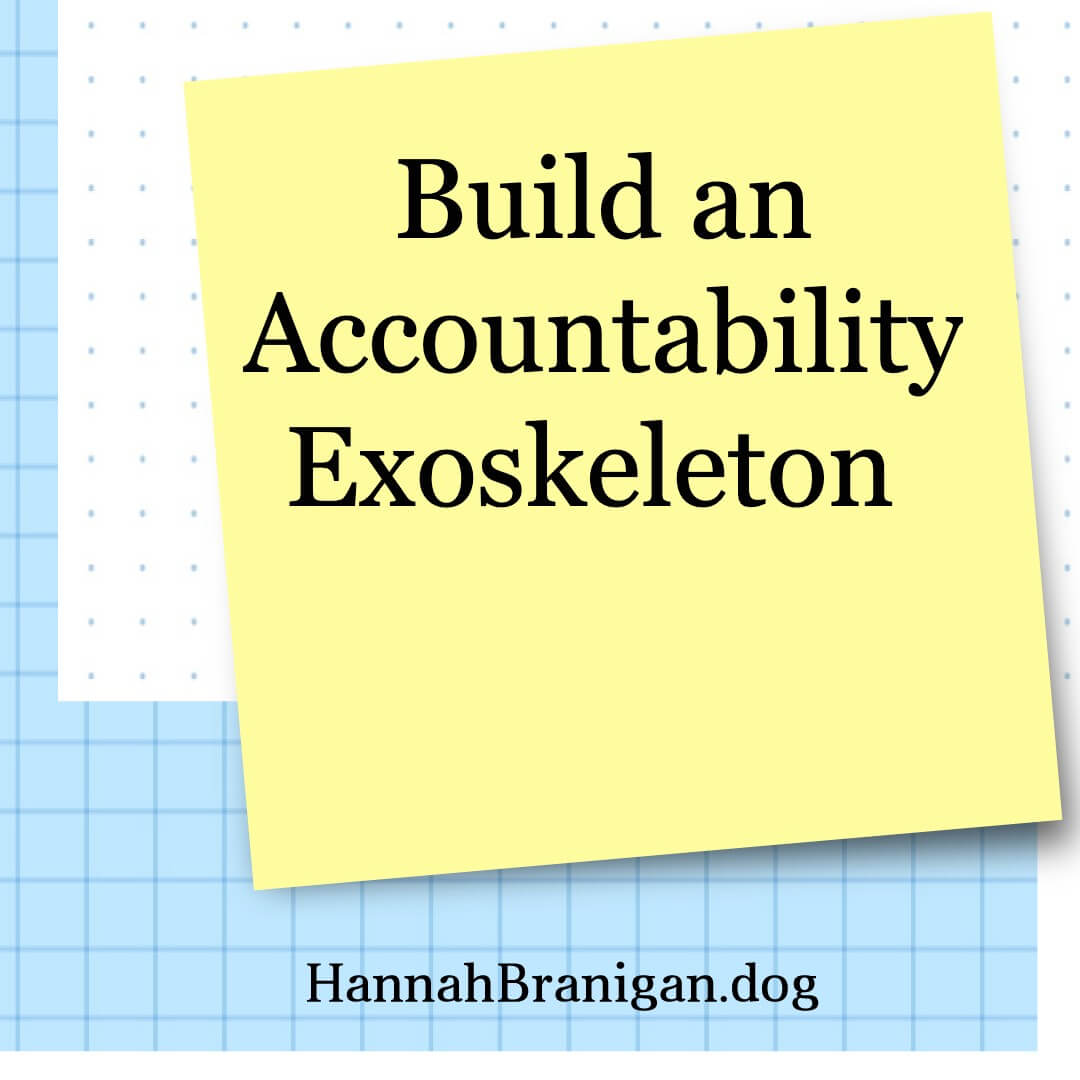Build an Accountability Exoskeleton