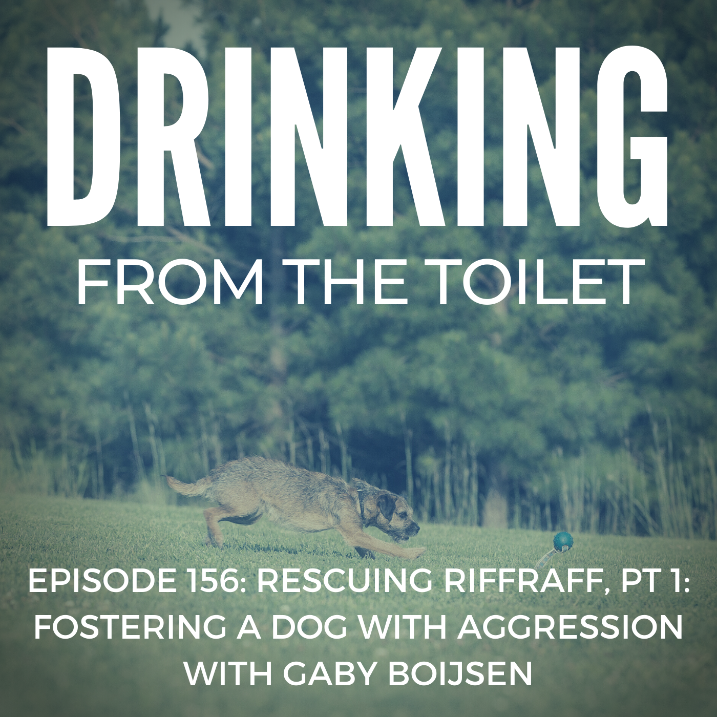 Podcast #156: Rescuing RiffRaff, Pt 1: Fostering a Dog With Aggression with Gaby Boijsen