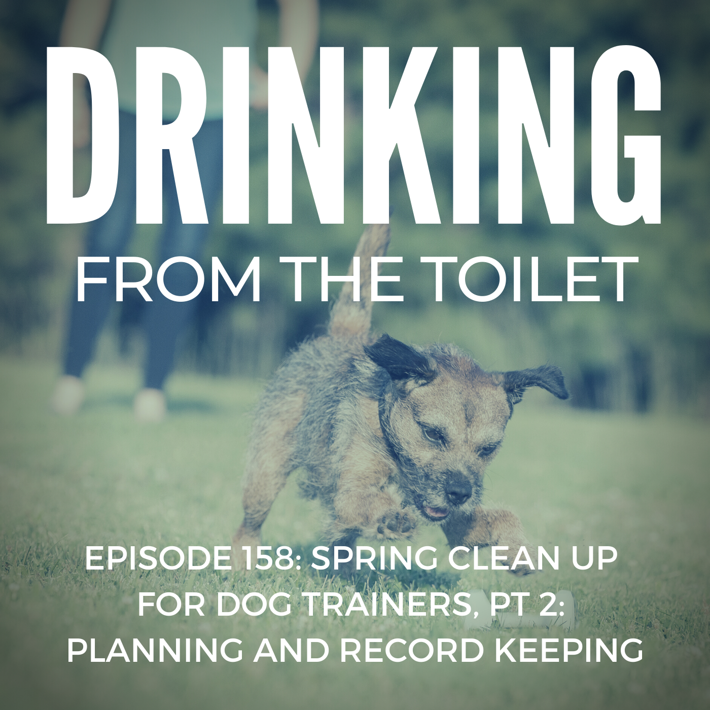 Podcast #158: Spring Clean up for Dog Trainers, Pt 2: Planning and Record Keeping