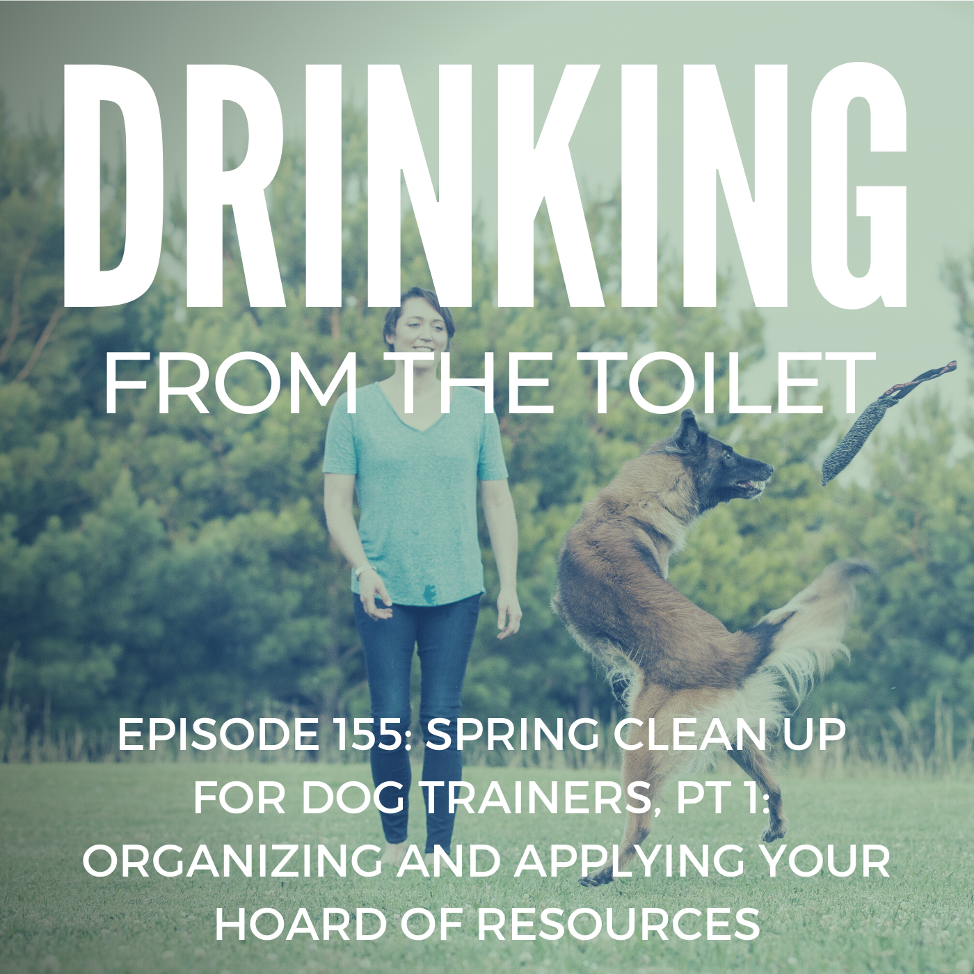 Podcast #155: Spring Clean up for Dog Trainers, Pt 1: Organizing and Applying Your Hoard of Resources
