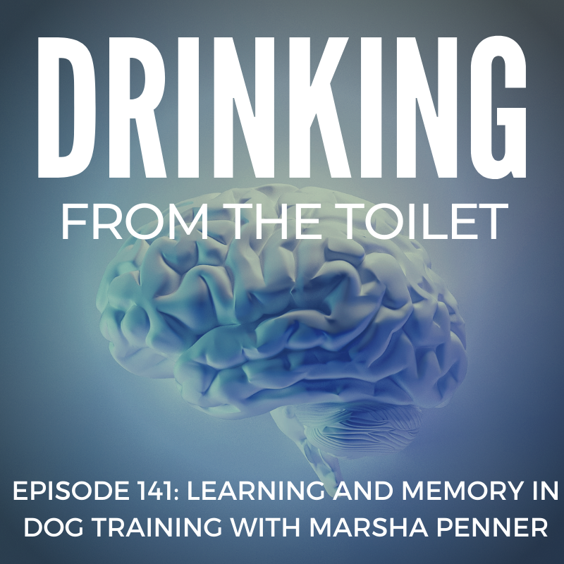 Podcast #141: Learning and Memory in Dog Training with Marsha Penner