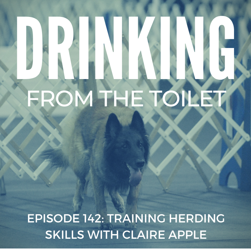 Podcast #142: Training Herding Skills with Claire Apple