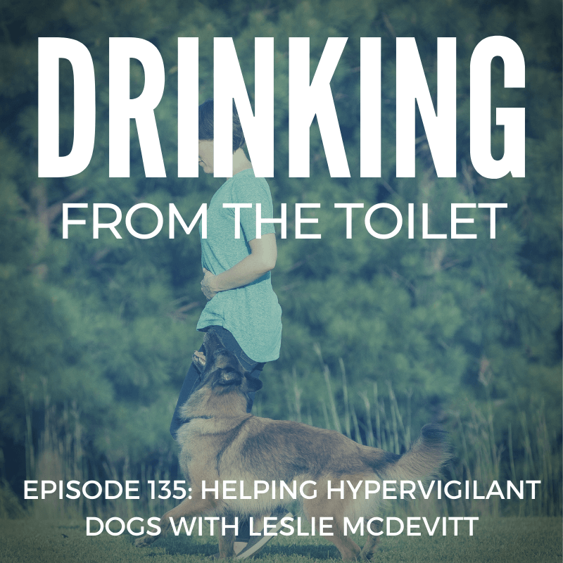 Podcast #135: Helping Hypervigilant Dogs with Leslie McDevitt