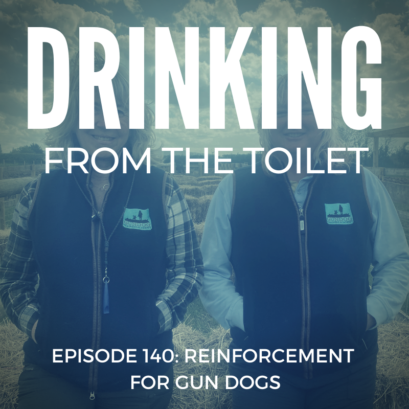 Podcast #140: Reinforcement for Gun Dogs