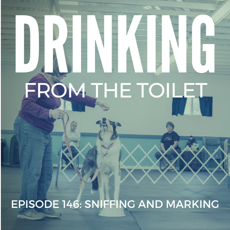 Podcast #146: Sniffing and Marking