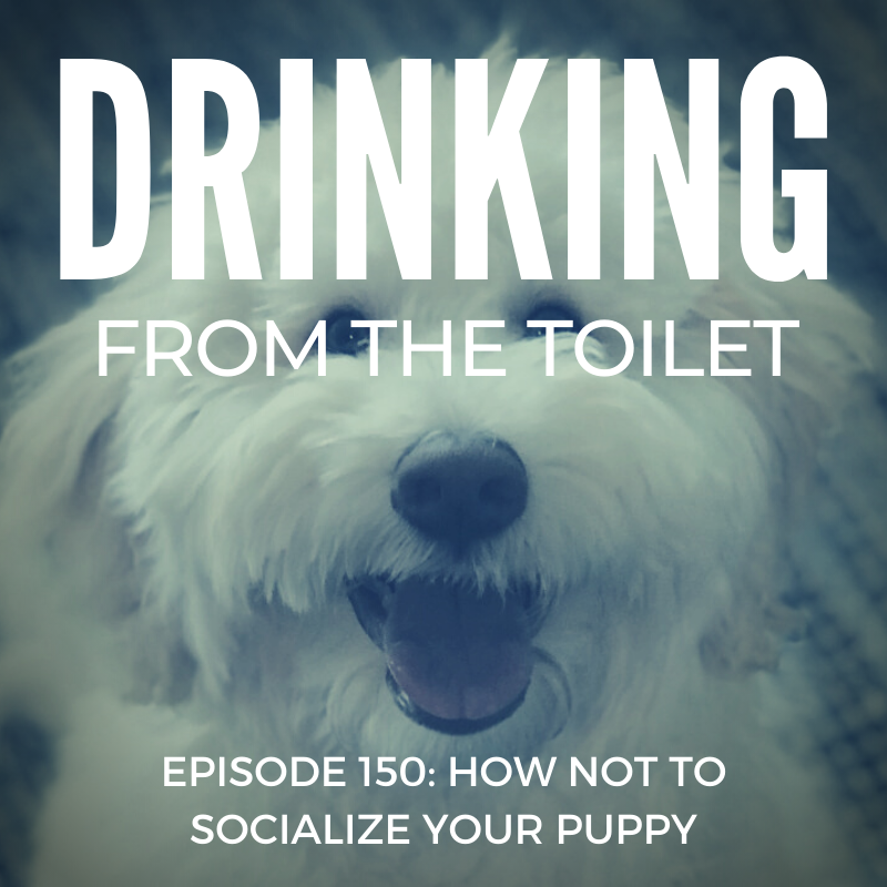 Podcast #150: How Not to Socialize Your Puppy