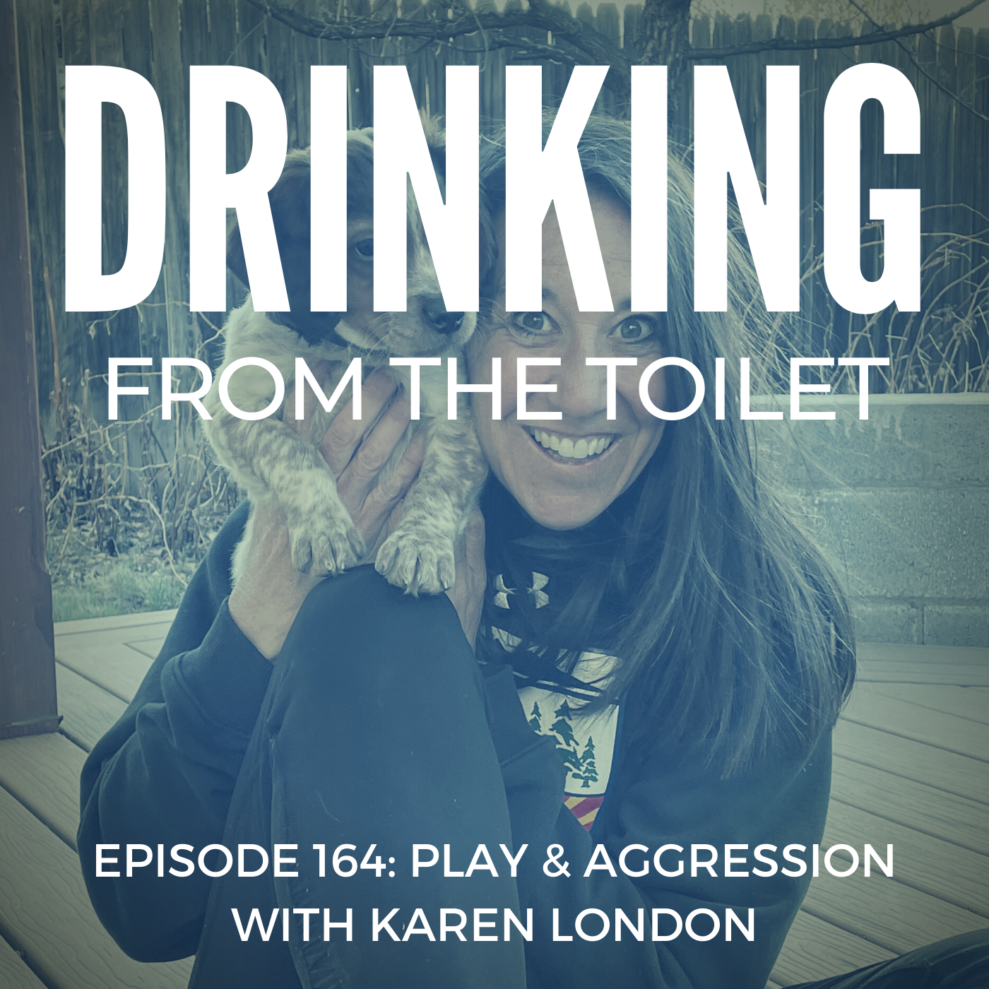 Podcast #164: Play & Aggression with Karen London