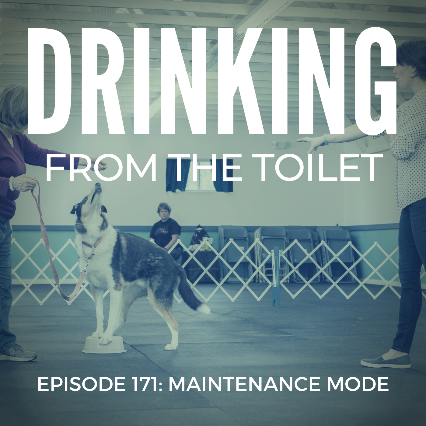 Podcast #171: Maintenance Mode