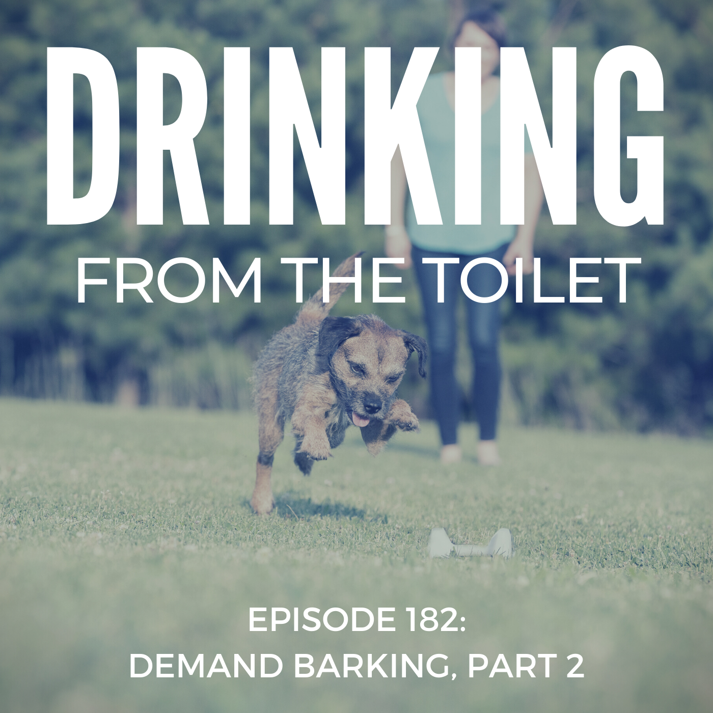 Podcast #182: Demand Barking, Part 2