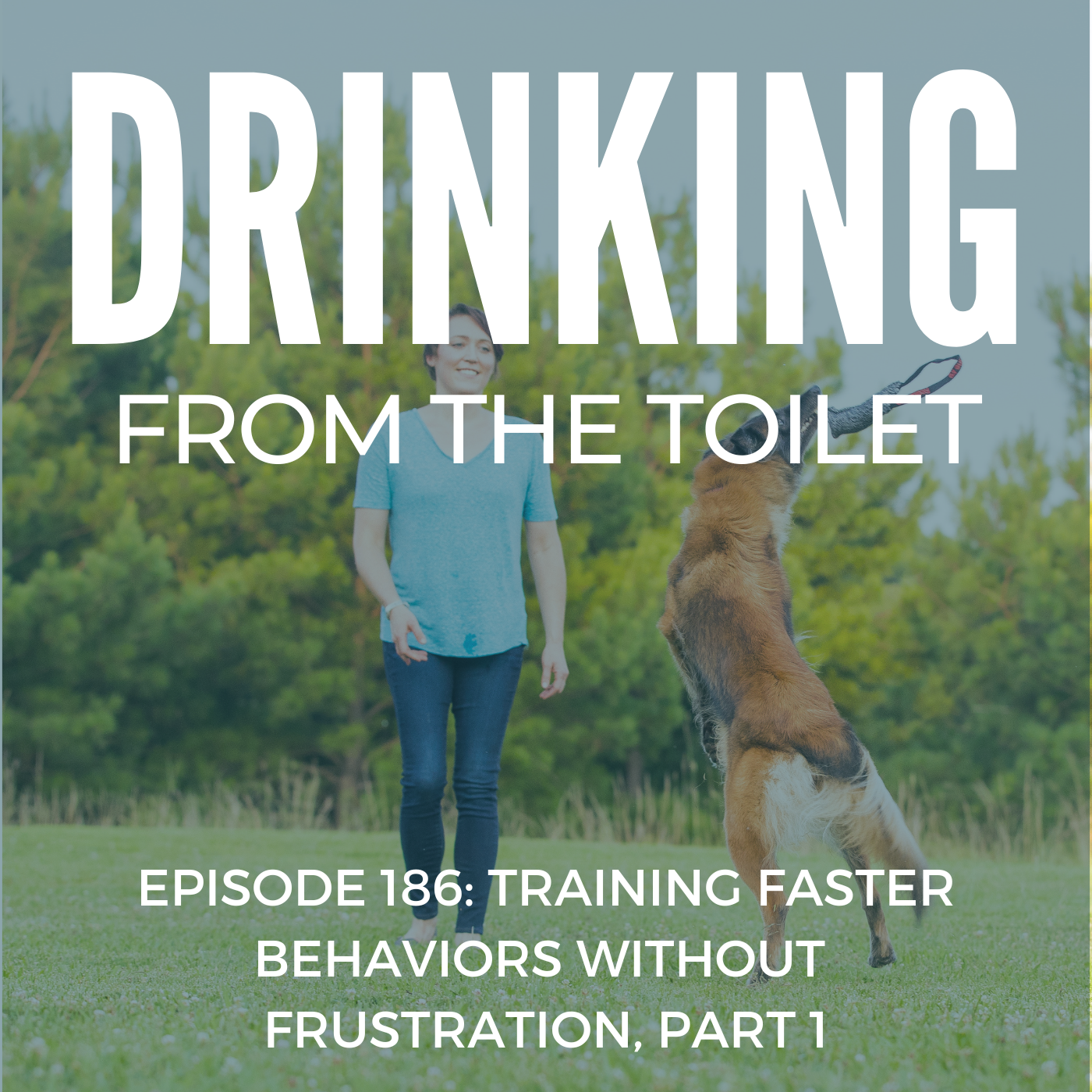 Podcast #186: Training Faster Behaviors Without Frustration, Part 1