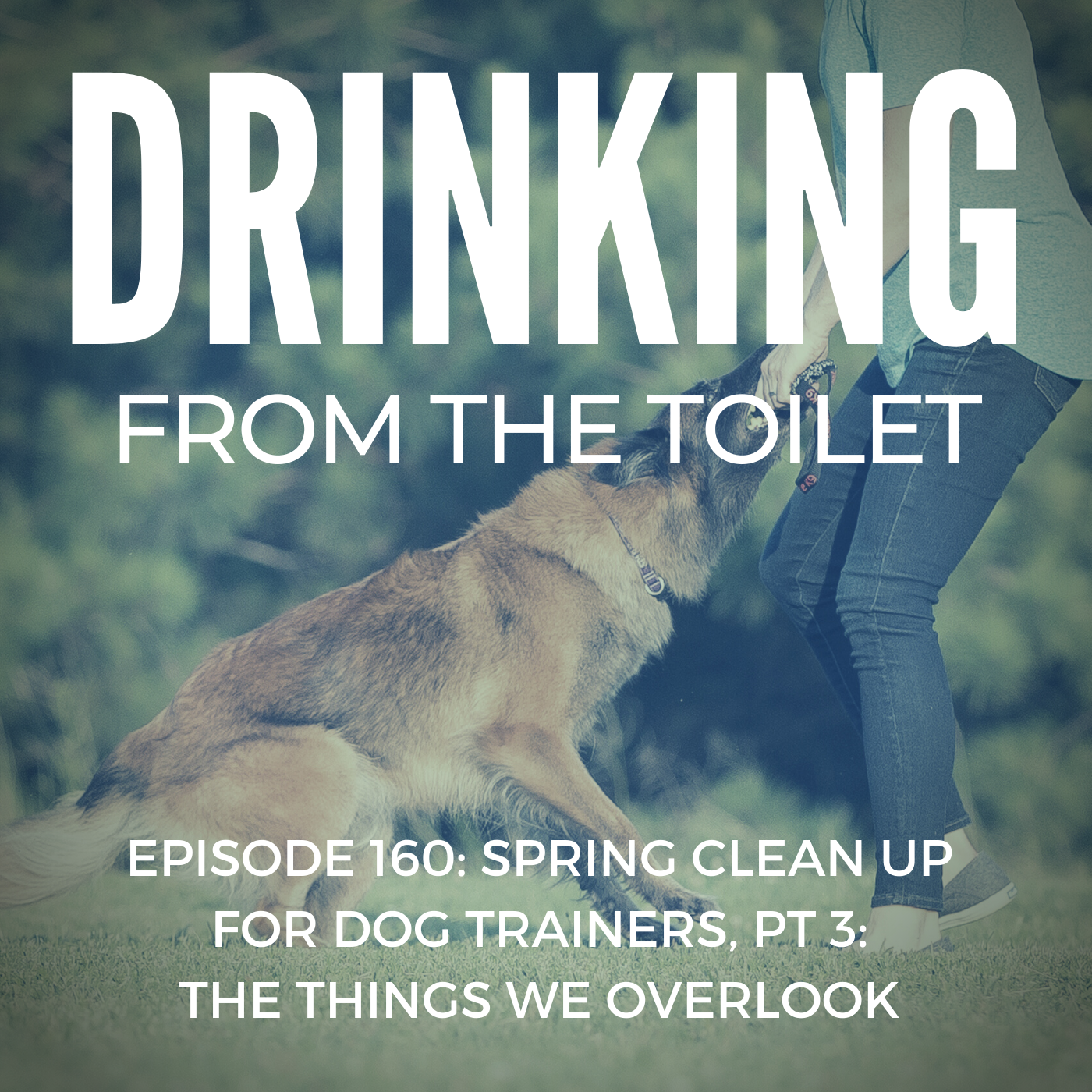 Podcast #160: Spring Clean up for Dog Trainers, Pt 3: The Things We Overlook