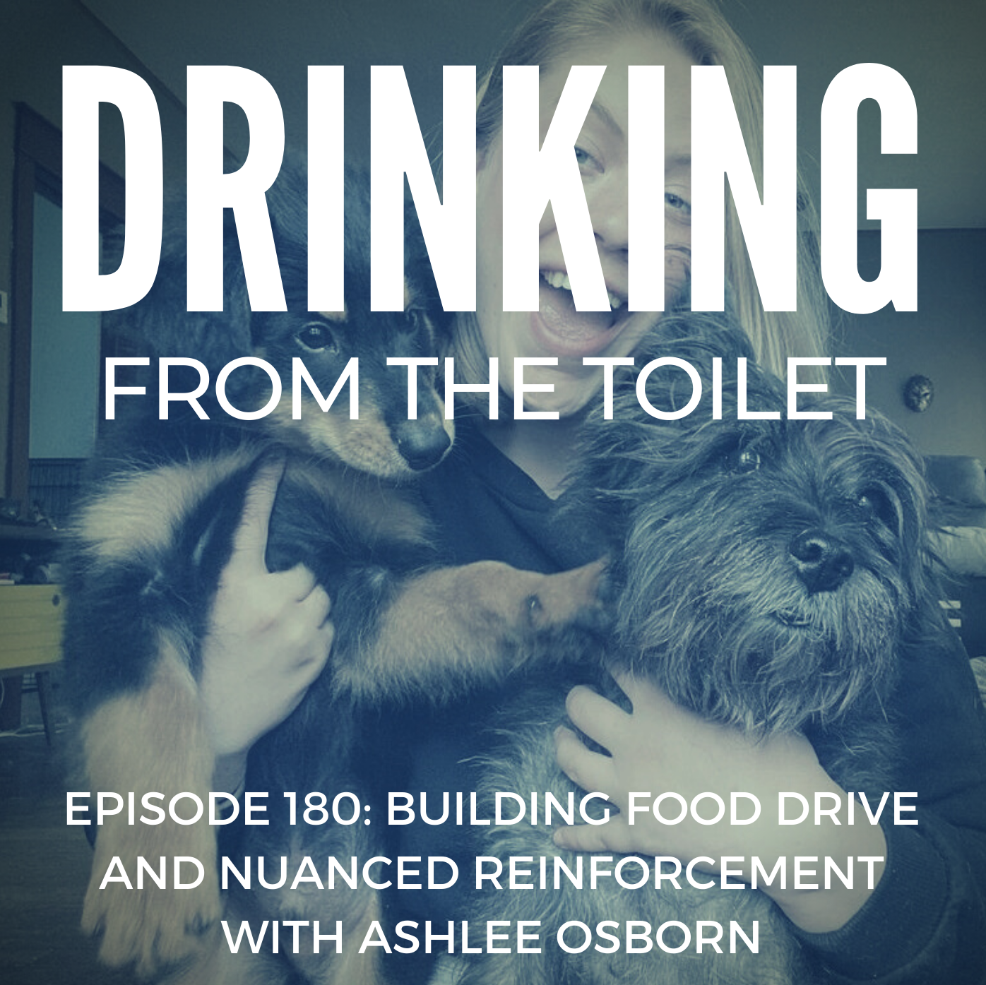 Podcast #180: Building Food Drive and Nuanced Reinforcement with Ashlee Osborn