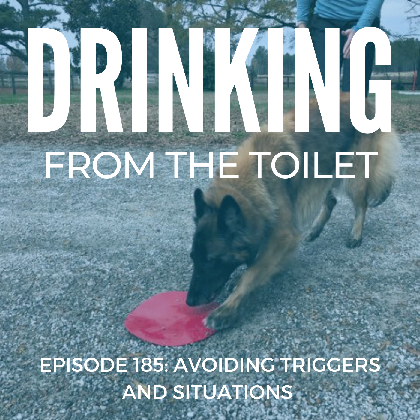 Podcast #185: Avoiding Triggers and Situations