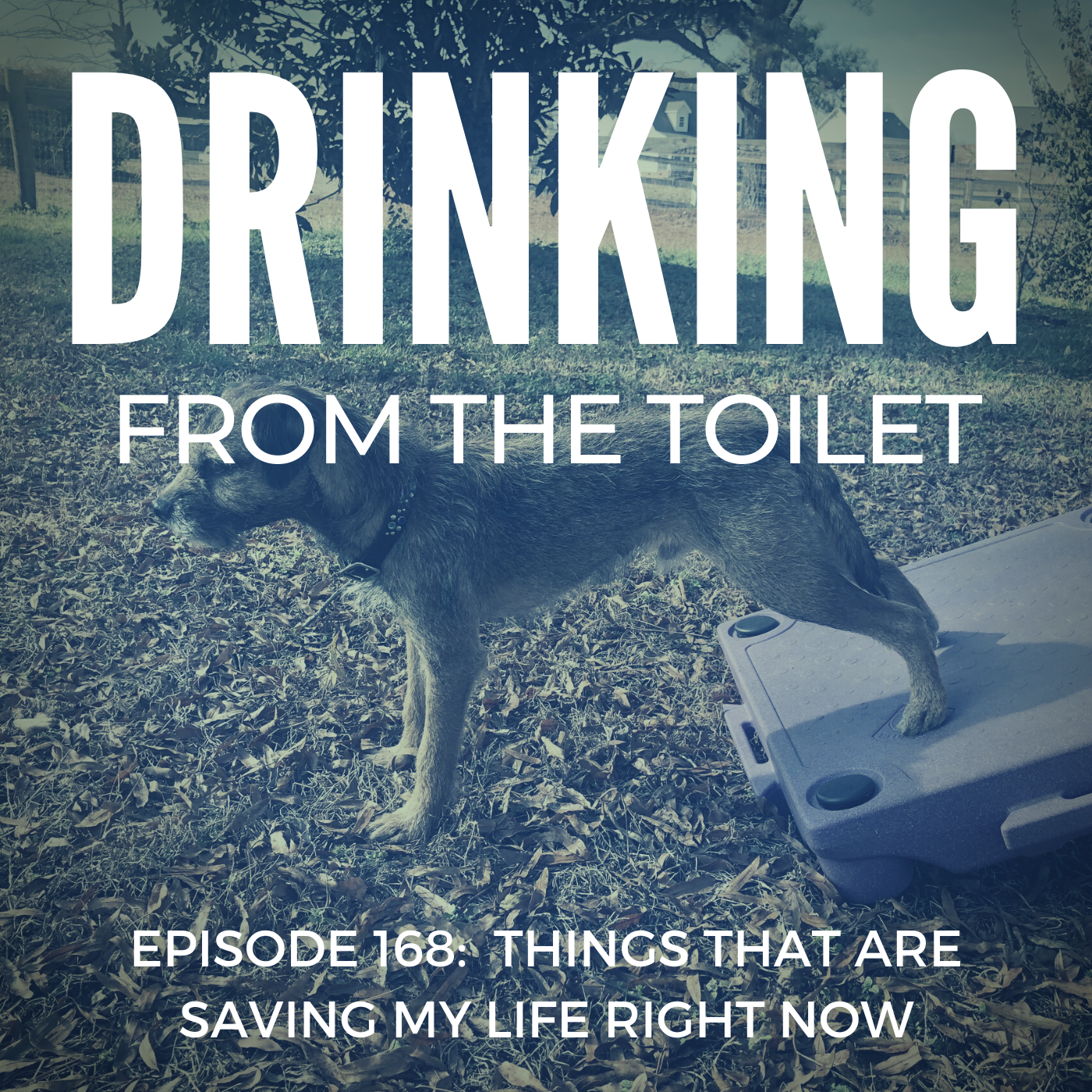 Podcast #168: Things That Are Saving My Life Right Now