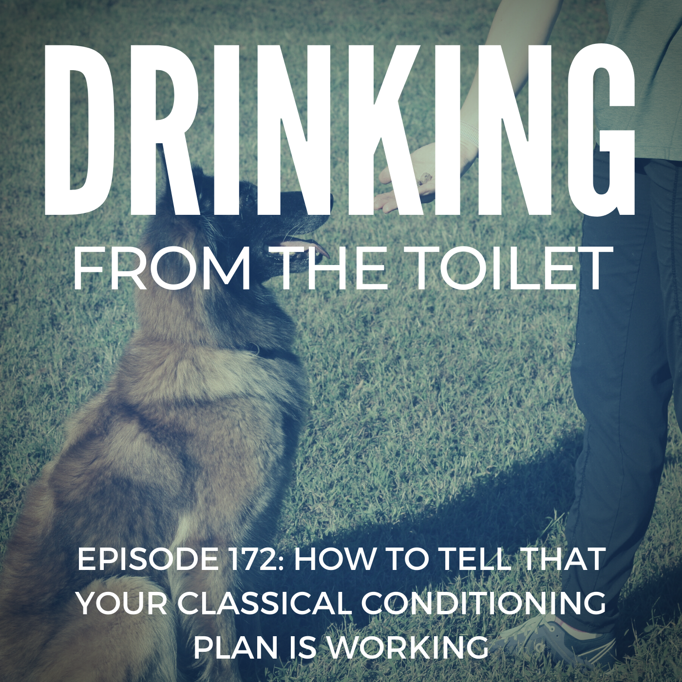 Podcast #172: How to Tell That Your Classical Conditioning Plan is Working