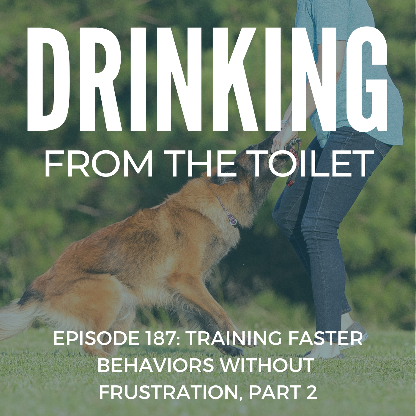 Podcast #187: Training Faster Behaviors Without Frustration, Part 2