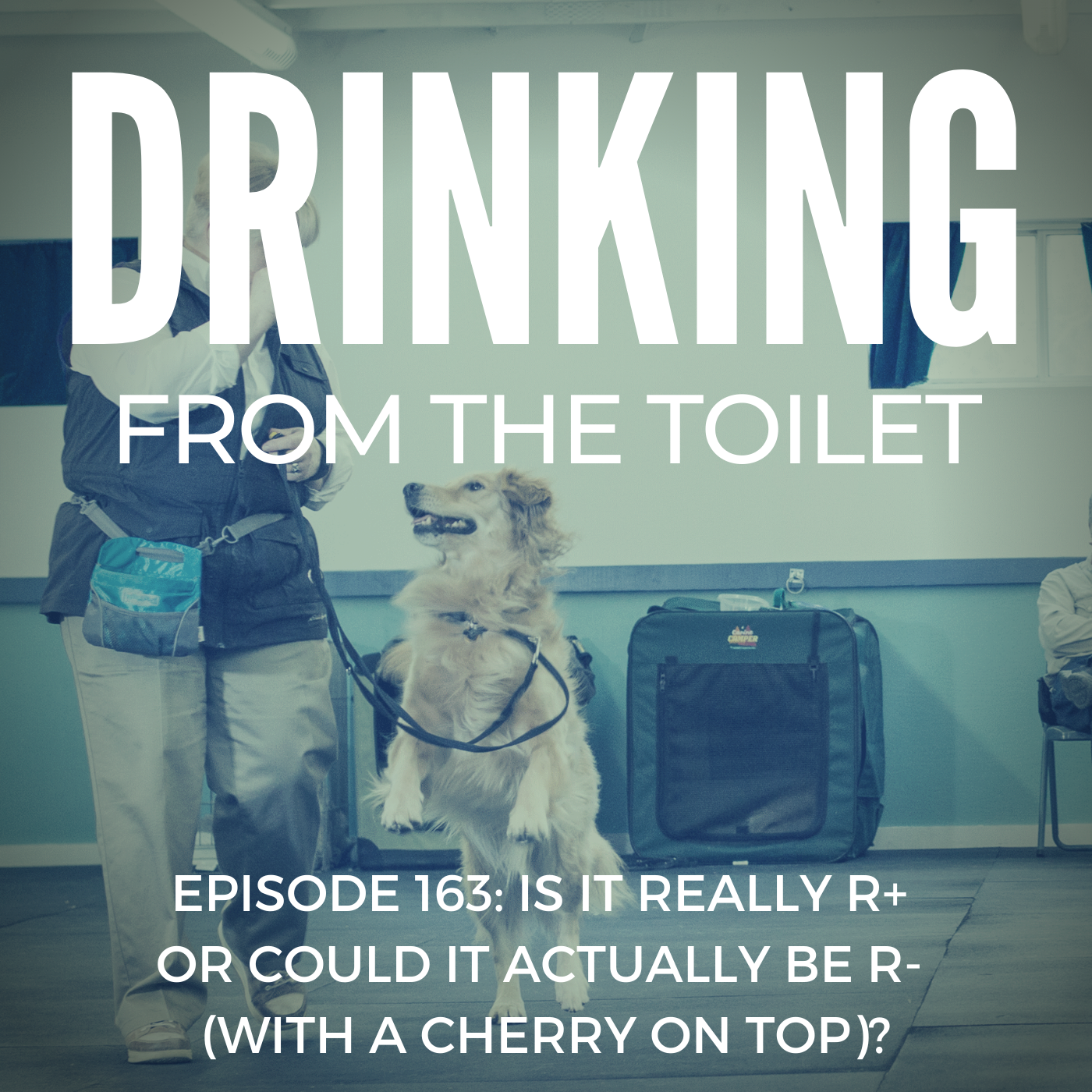 Podcast #163: Is It Really R+ or Could It Actually Be R- (With a Cherry on Top)?