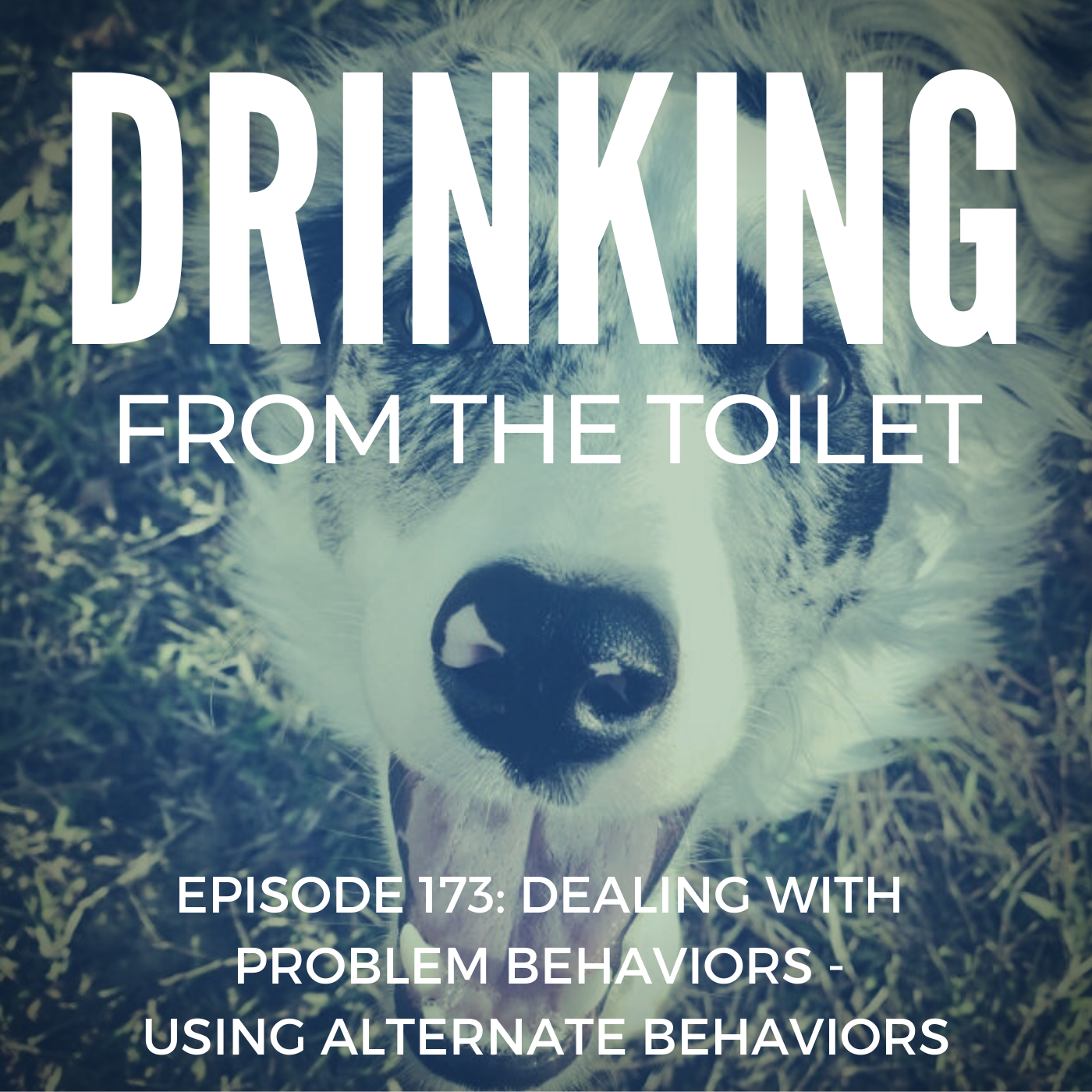 Podcast #173: Dealing with Problem Behaviors – Using Alternate Behaviors