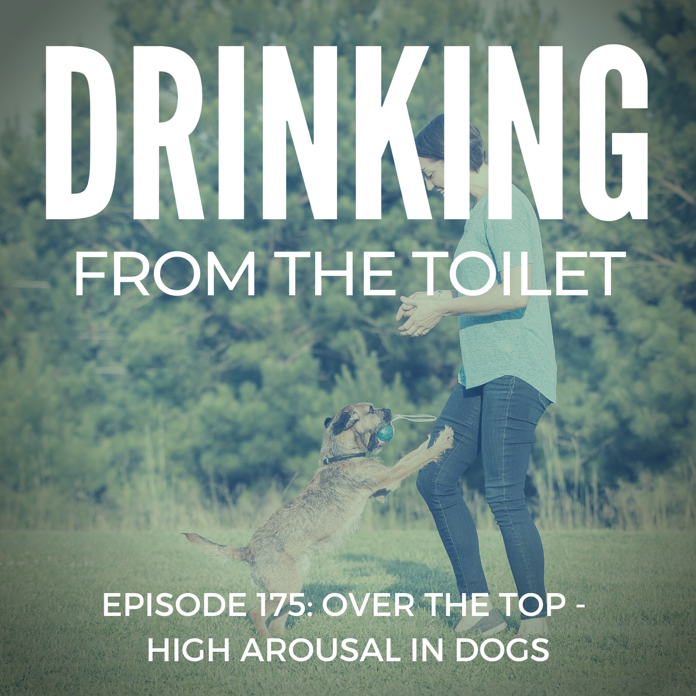 Podcast #175: Over the Top – High Arousal in Dogs