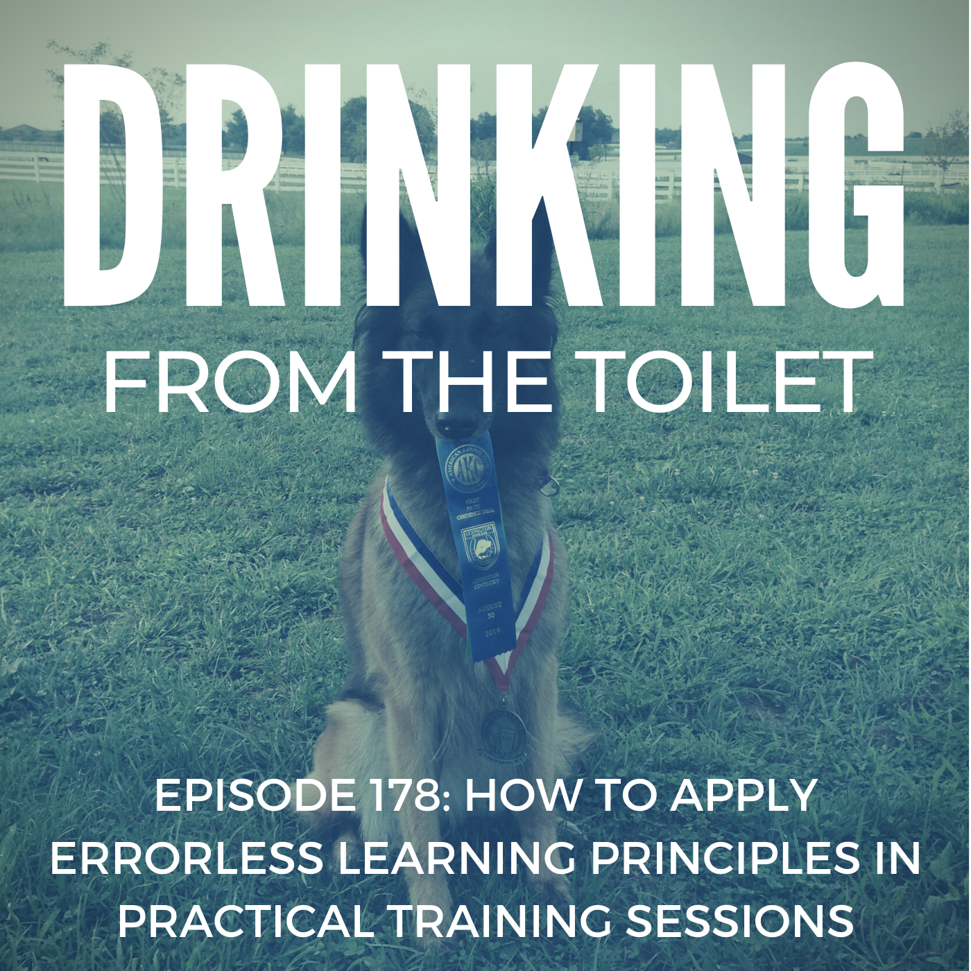 Podcast #178: How to Apply Errorless Learning Principles in Practical Training Sessions