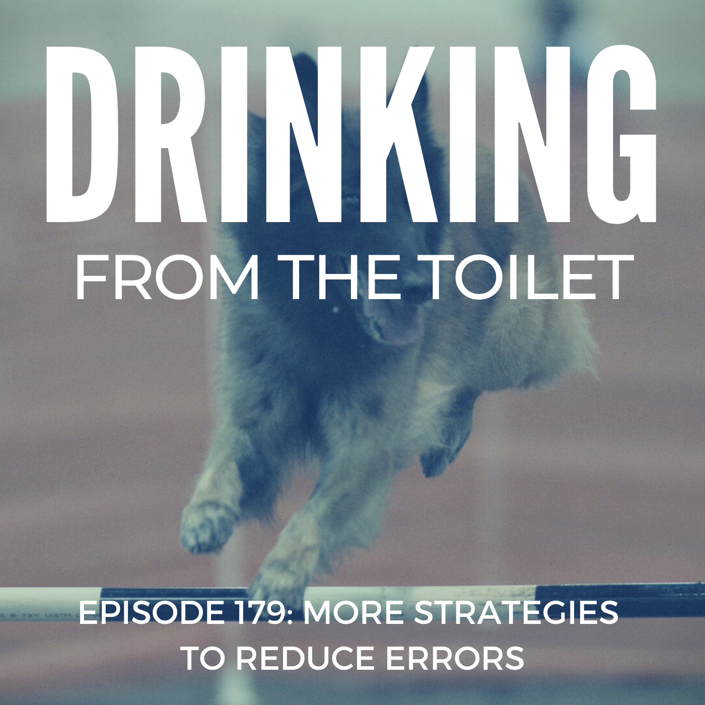 Podcast #179: More Strategies to Reduce Errors