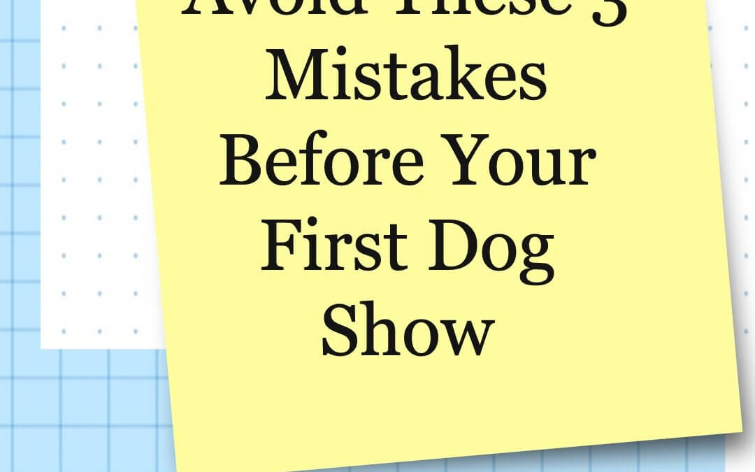 Avoid These 3 Mistakes Before Your First Dog Show