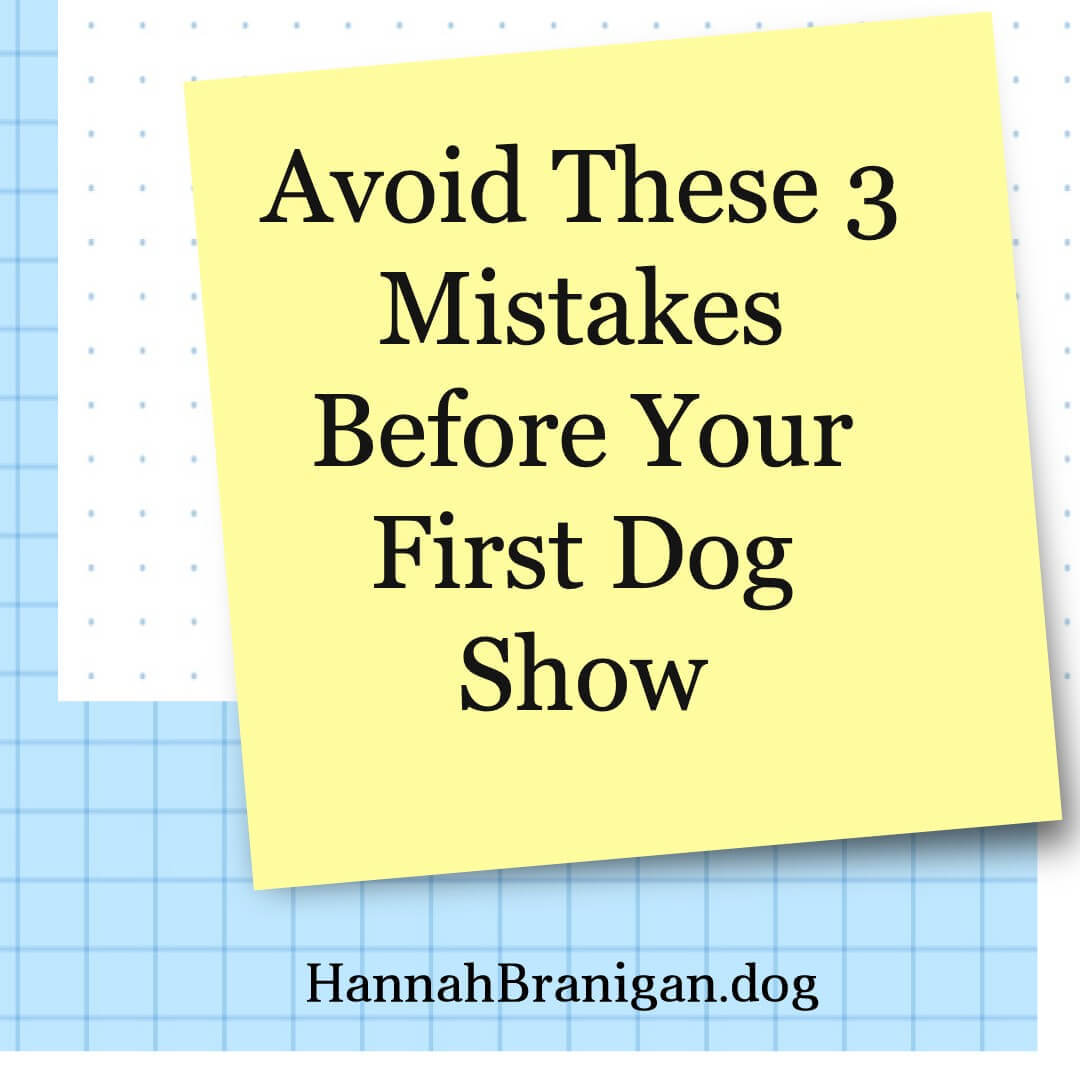 Avoid These 3 Mistakes Before Your First Dog Show