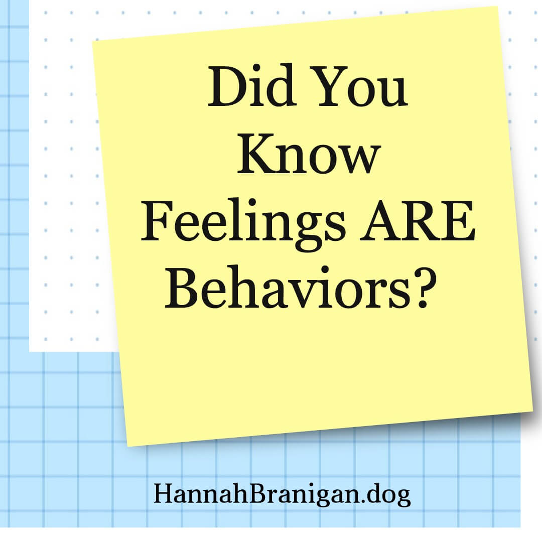 Did you know… feelings ARE behaviors?