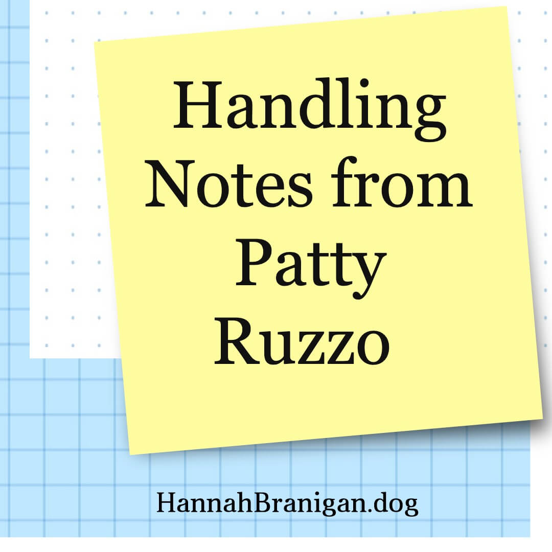 Obedience Handling Notes from Patty Ruzzo