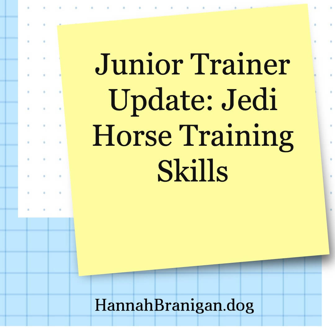Junior Trainer Update: Jedi Horse Training Skills