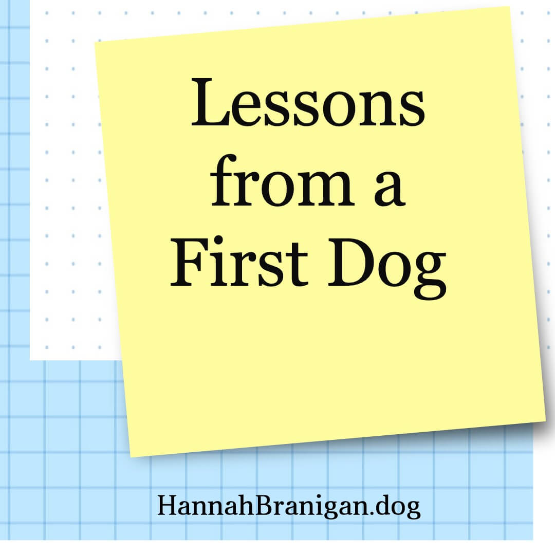 Lessons from a First Dog