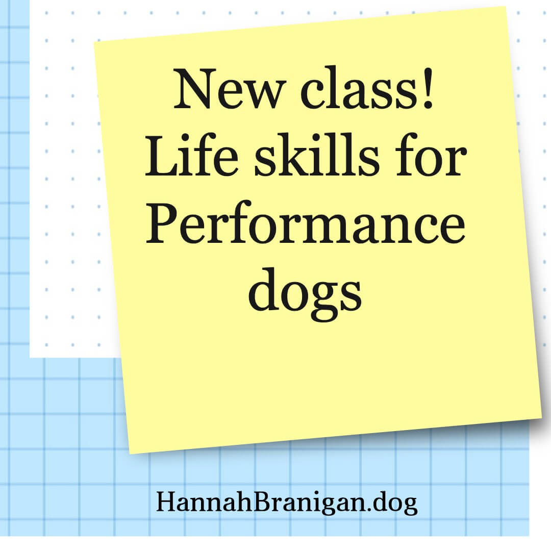 New class! Life skills for Performance dogs