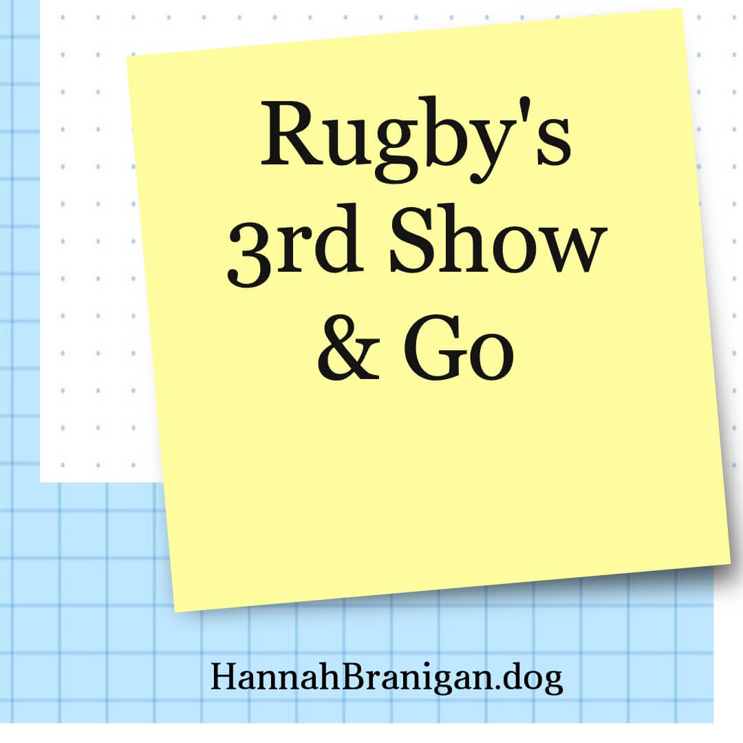 Rugby’s 3rd Show & Go