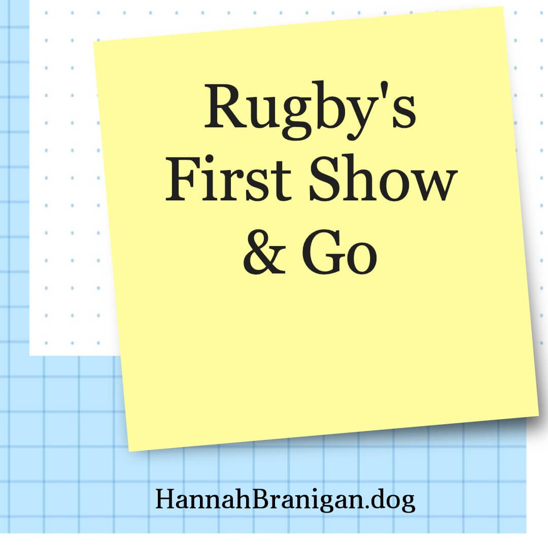 Rugby’s First Show & Go