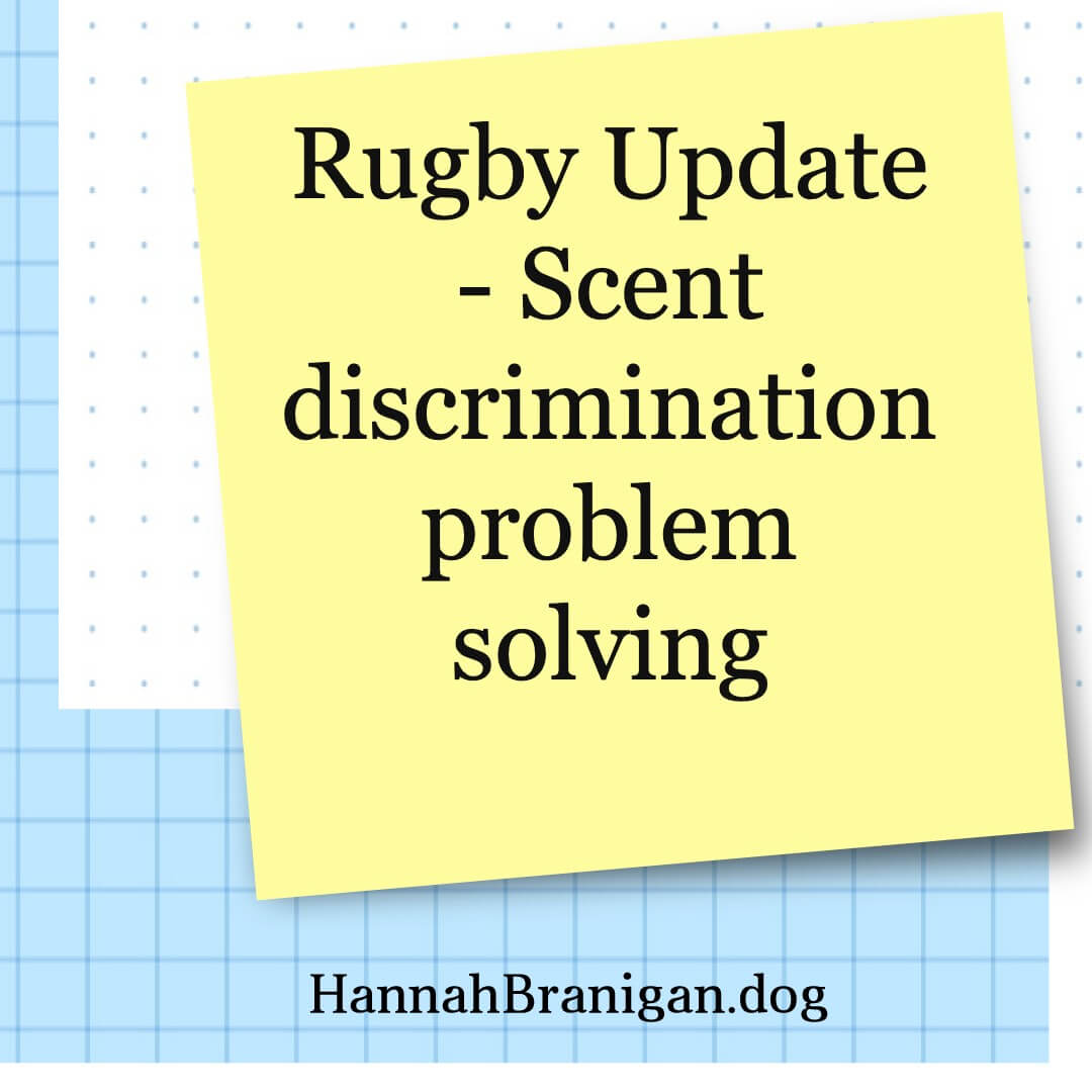 Rugby Update – Scent discrimination problem solving