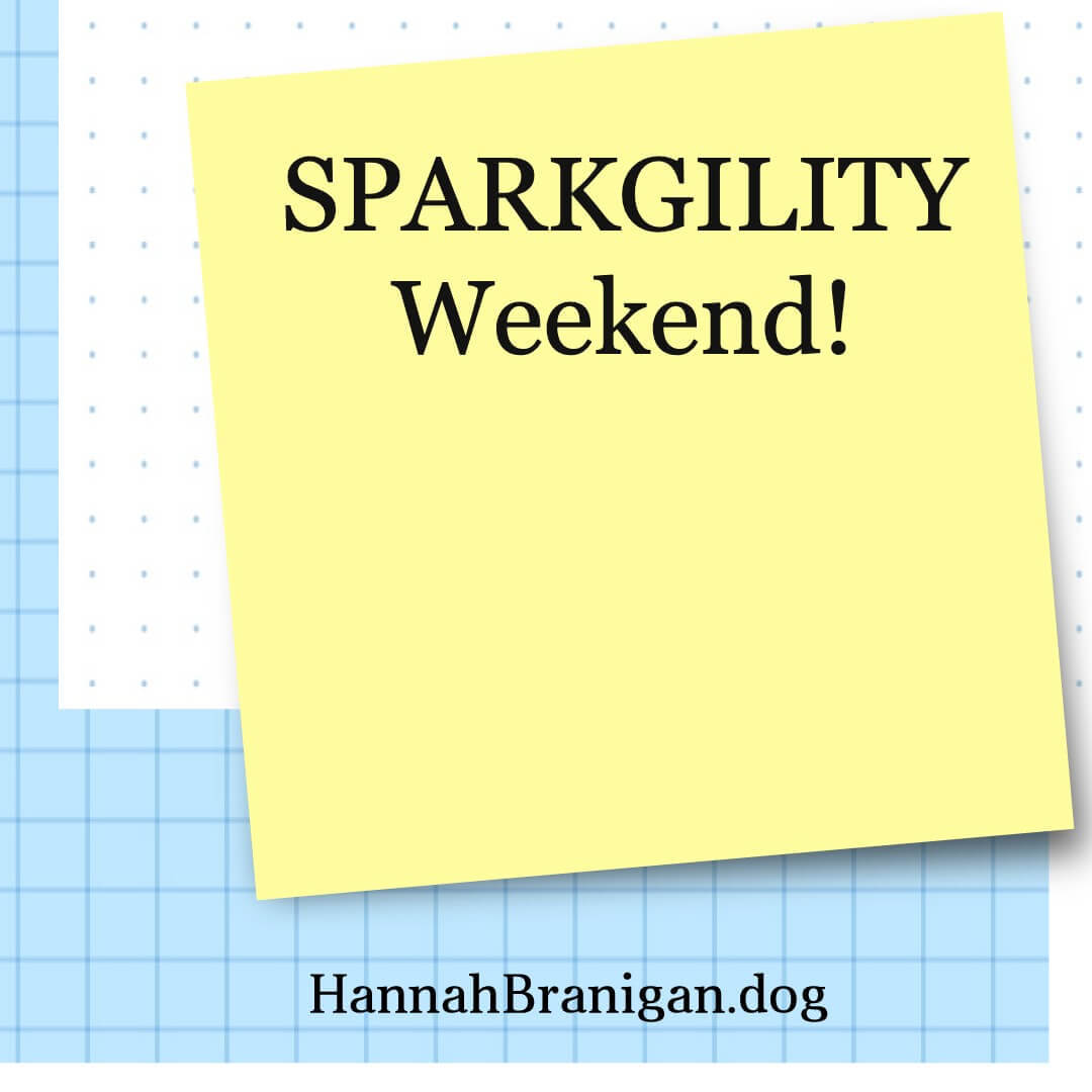 SPARKGILITY Weekend!