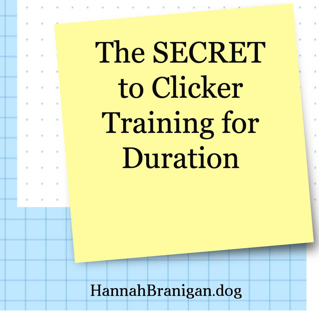 The SECRET to Clicker Training for Duration